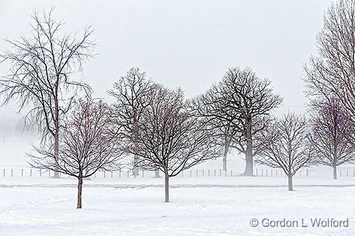 Fog In The Park_33808-9.jpg - Photographed at Smiths Falls, Ontario, Canada.